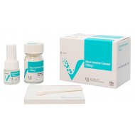 Glass Ionomer Cement Filling I